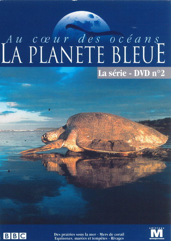 Planeta azul — Pósters 18
