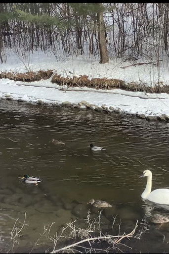 a moment of recovery poster