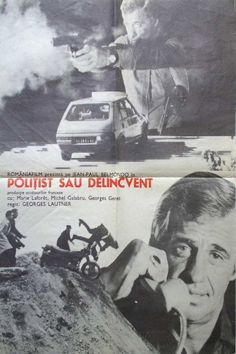Polițist sau delincvent