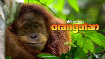 Cena 7 de Orangotango