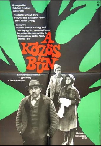A közös bűn