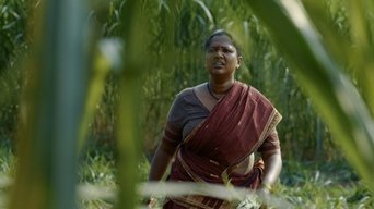 Episode 1 — The Unsolved Mystery