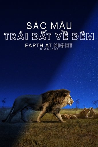 Sắc Màu Trái Đất Về Đêm - Earth at Night in Colour