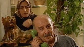 Episode 5 — Investigation