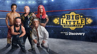 Big Little Brawlers (2024)