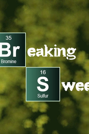 Cartell de Breaking Sweet