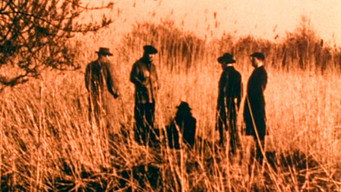 All Things Pass (1981)