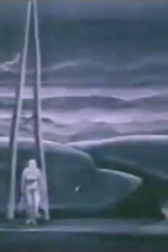 Night Bird (1975)