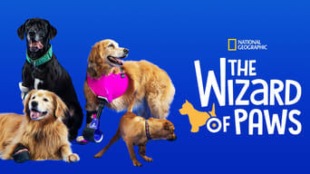 #4 The Wizard of Paws