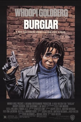 poster Burglar