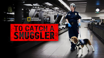 To Catch a Smuggler (2012- )