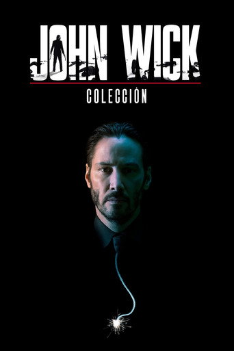 John Wick - Colección