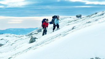 The Mountain (2011)