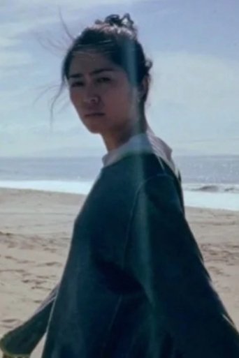 Falling Pieces poster