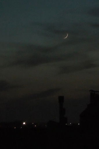 1 Rue Hirondelle poster