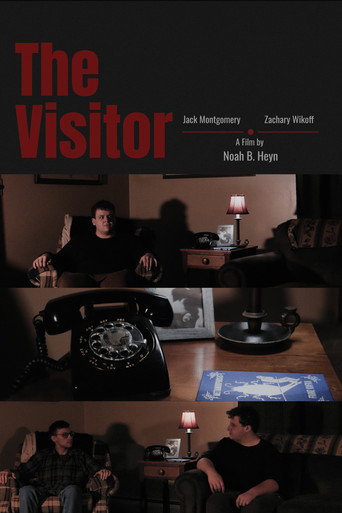 Cartell de The Visitor