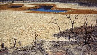 #53 Walkabout