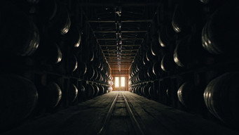 Chasing Whiskey (2021)