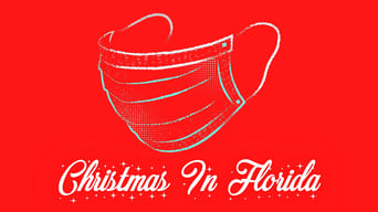 #4 Christmas in Florida
