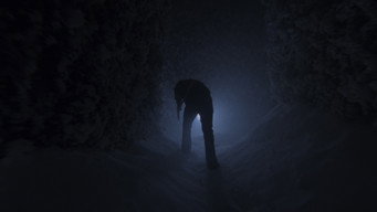 #116 Сяйво