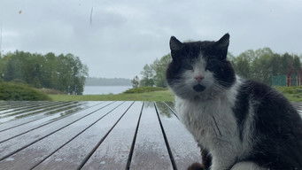 Episode 8 — Episode 8