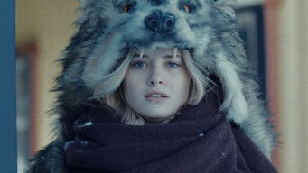 Galeria 5 - Starfish