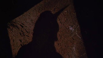 The Devil from Mill Mountain (1955)