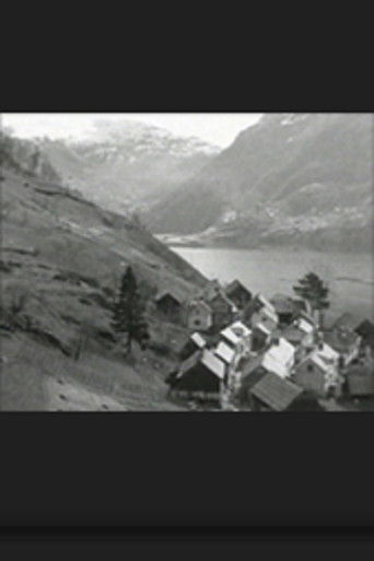 Cartell de Havråfilmen