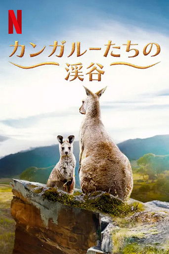 カンガルーたちの渓谷