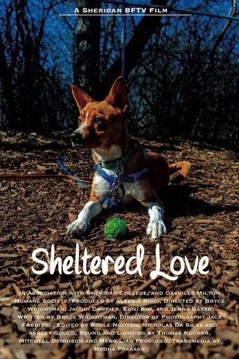 Sheltered Love