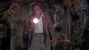 The Ghost and Mr. Chicken (1966)