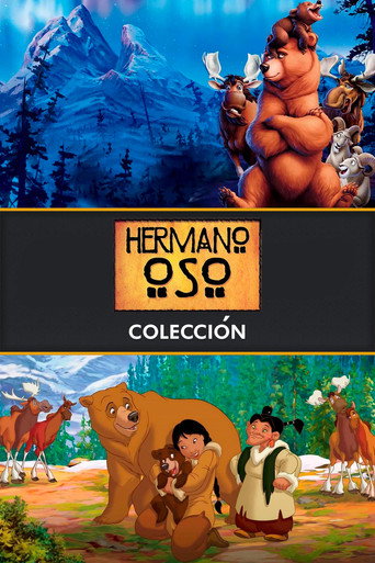 Hermano oso - Colección
