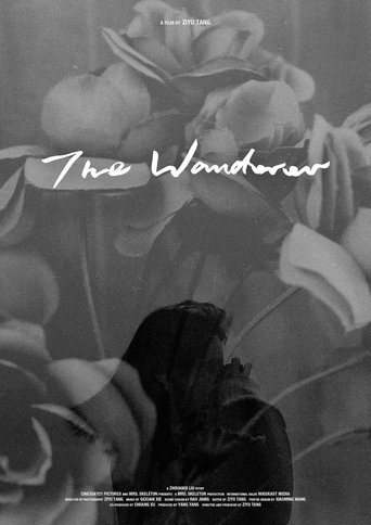 The Wanderer poster