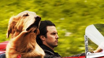 Galeria 5 - The Art of Racing in the Rain