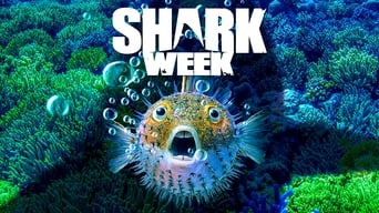 #5 Shark Week