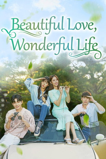 Beautiful Love, Wonderful Life