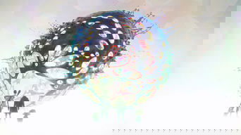 Cena de Finalmente acertou o nome