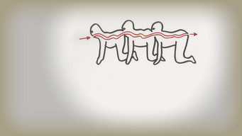 The Human Centipede (First Sequence) backdrop 2