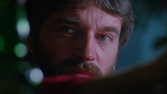 Programmed for Pleasure (1981)