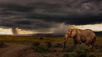 Chasing the Rains (2022-2023)