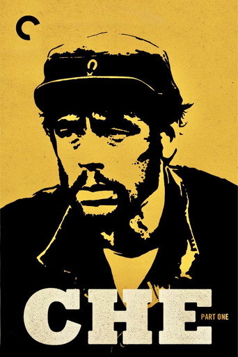 Che: O Argentino - Capa alternativa 5