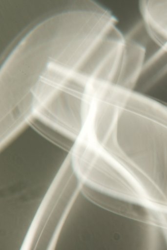Blurry No More (2024)