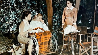 Il richiamo nella tempesta (1950)
