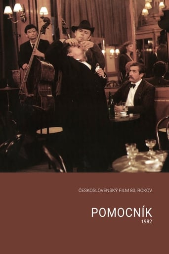 Poster of Pomocník