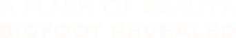 A Flash of Beauty: Bigfoot Revealed logo