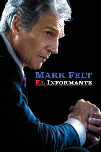 Póster de El Informante