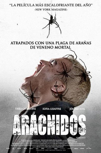 Póster de Arácnidos