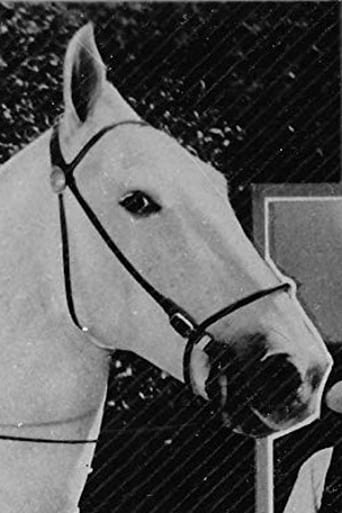 Silver King the Horse