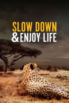 Slow Down and Enjoy Life poster