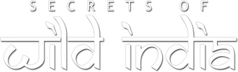 Secrets of Wild India logo